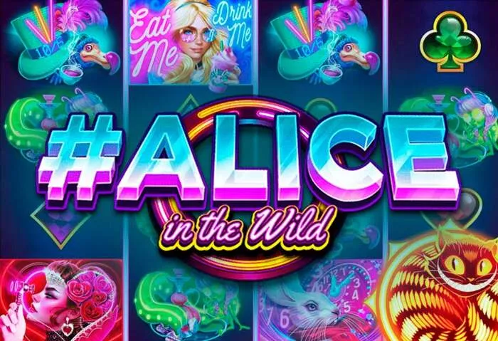 Sblocca ricchi premi con il Duelz Casinò Slot machine Bonus.